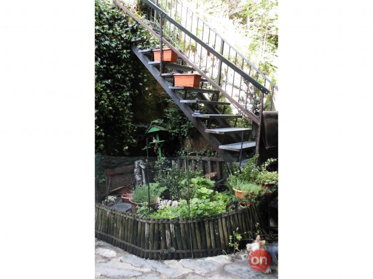 CIMG2703 - copia.JPG